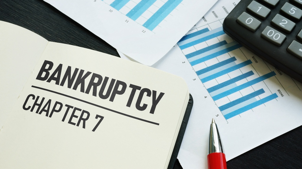 Bankruptcy chapter 7 is shown using a text